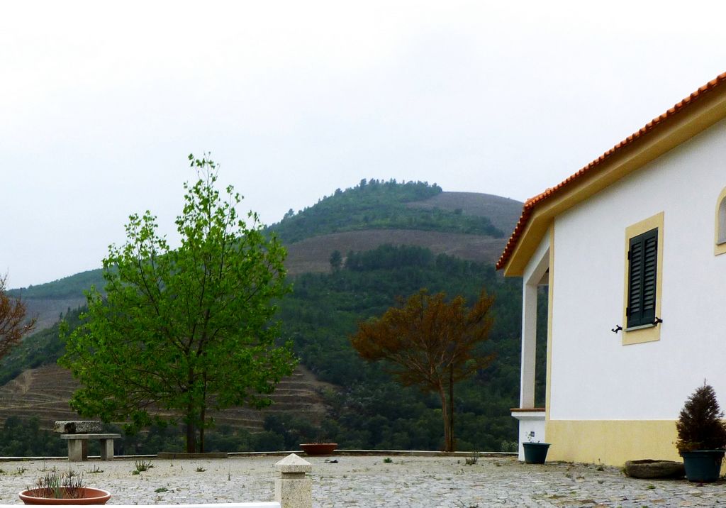 Farm